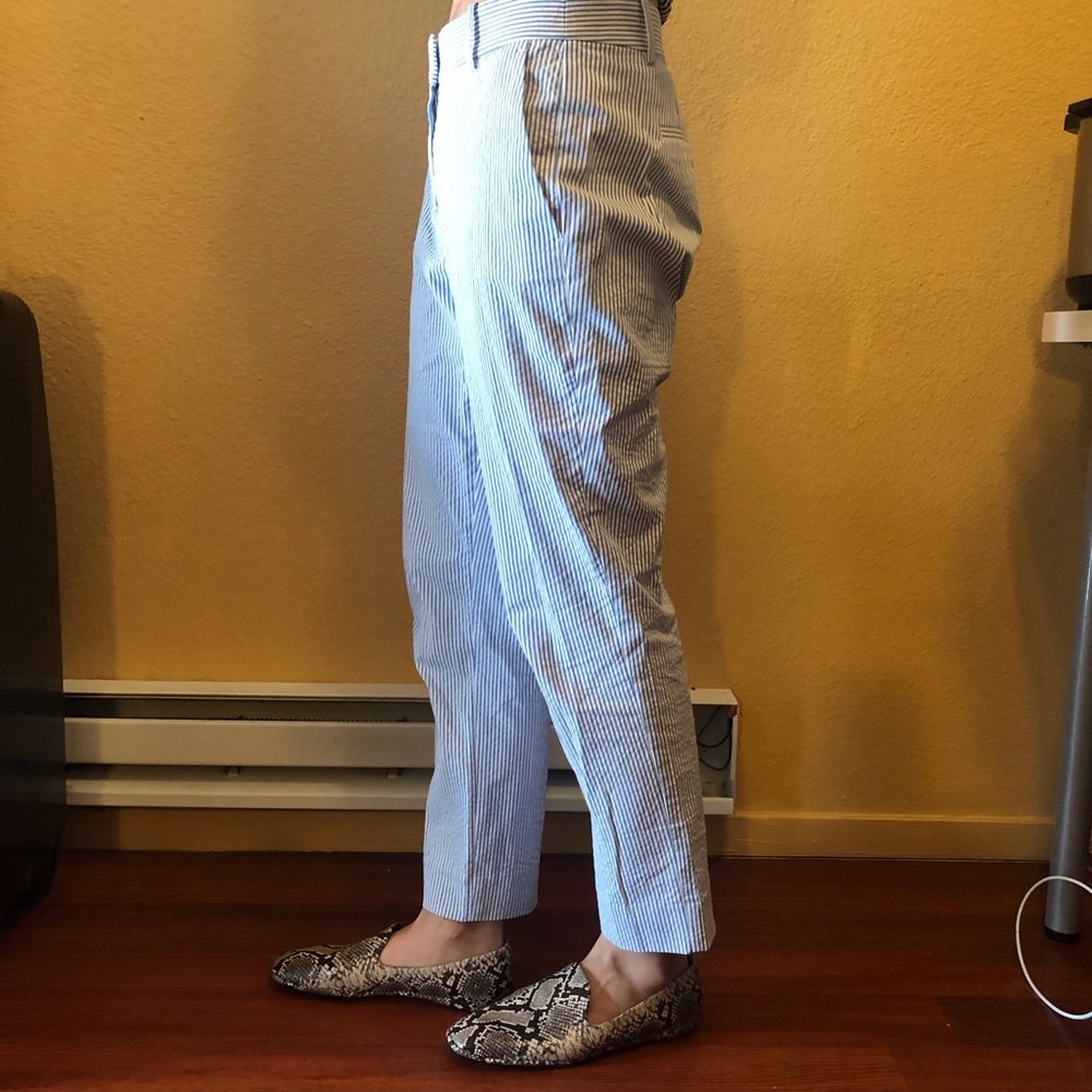 J Crew Pants View 2